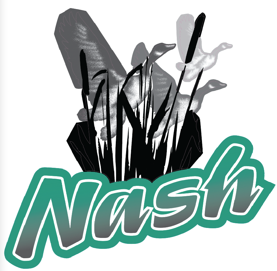 Nash - 2001 Nash Travel Trailer-Metal Walls Teal Version