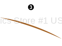 Fwd Lg Eyebrow