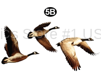 Lg Geese Set B