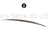 Fwd Upper Printed Eyebrow