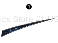 Fwd Mid Printed Spike