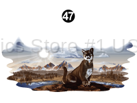 Front Wildcat Scene
