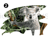 Front Cap Koala Scene