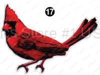 Cardinal Bird