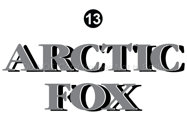 FW Side/Rear Arctic Fox letters
