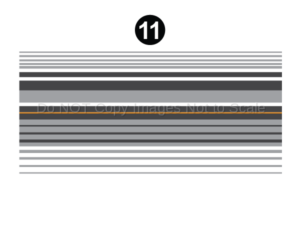 6.25" x 25' Lower Roll Stripe