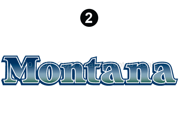 Side/Rear Montana Logo