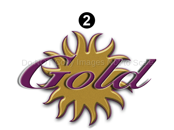 Rear Gold Logo