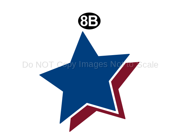 Med Two Color Star