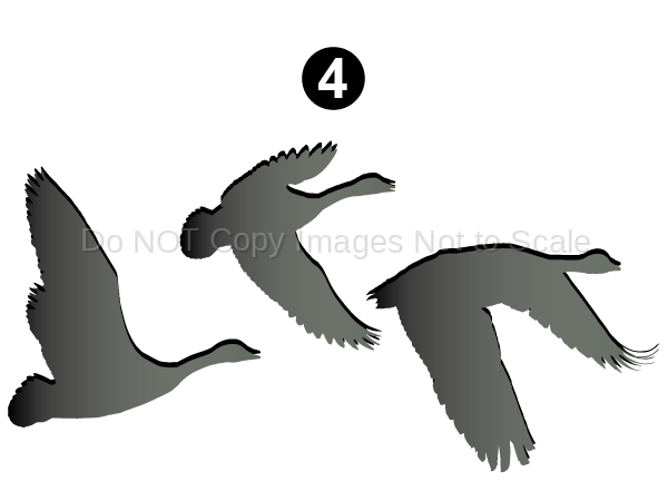 Small Geese Set