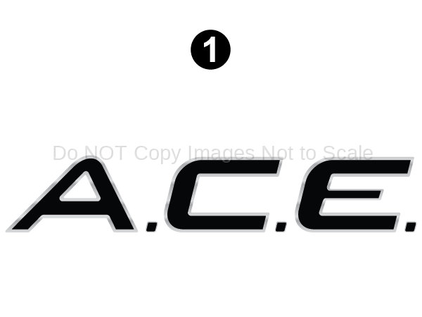 ACE Domed Logo
