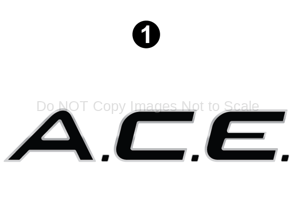 Domed ACE Logo