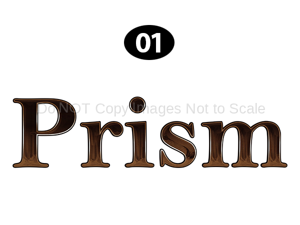 PRISM Side/Rear Logo