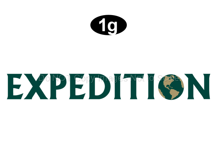 Expedition logo-Green