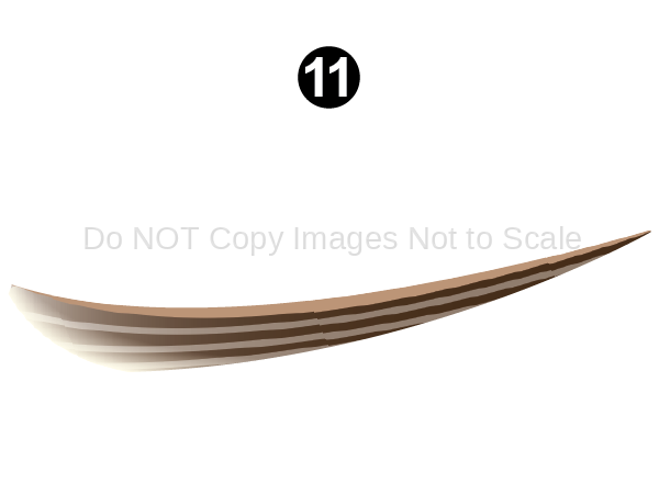 Fwd Lower Feather