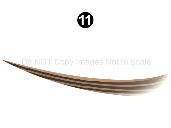 Fwd Lower Feather