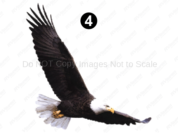 Curbside Large Eagle