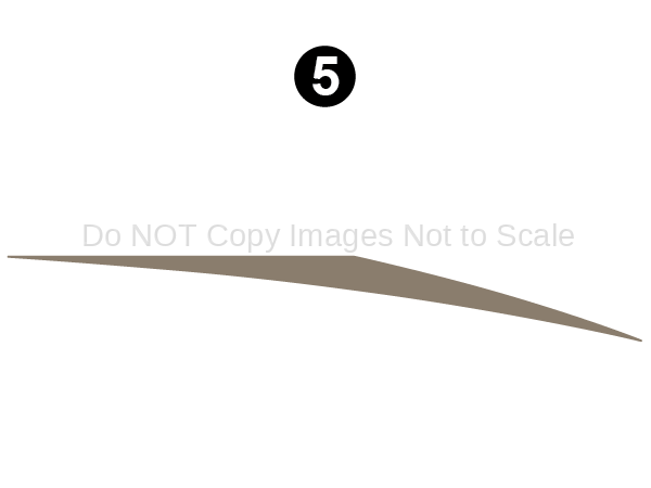Fwd Top Fang