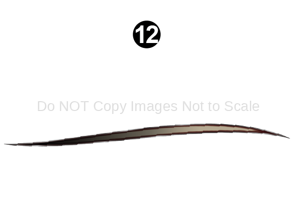 Mid Lwr Accent Print Brow