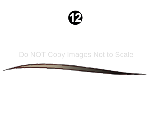 Mid Lwr Accent Print Brow