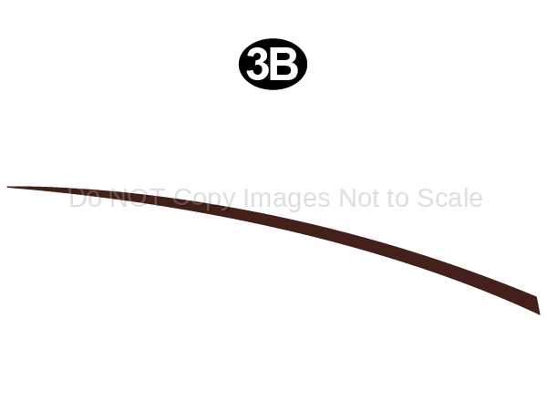 Fwd Upper Spear 2 Tail