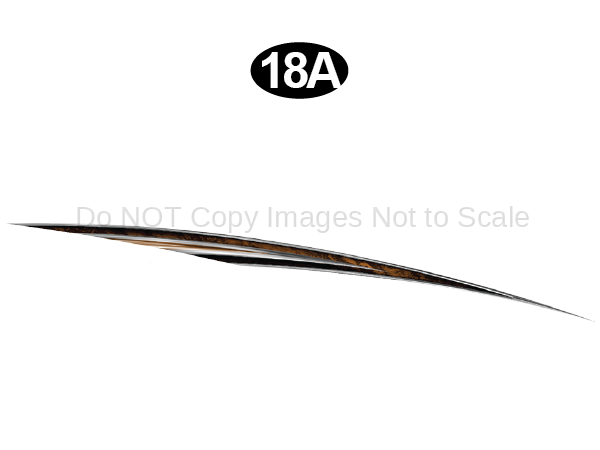 Rear Upper Printed Hook