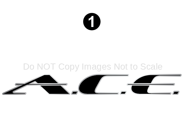 Front ACE Dome Logo