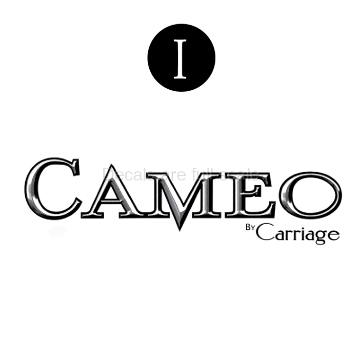 2011-2012 Cameo logo