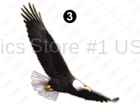 Front Eagle