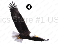 Curbside Large Eagle