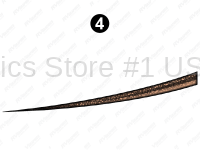 Rear Lwr Print Swoop (F)