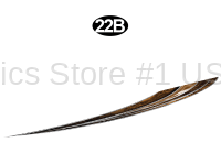 Mid Rear Print Low Hook