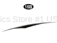 Dart Graphic B-Curbside-Passenger Side