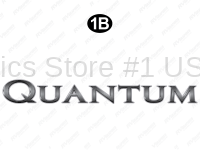 Quantum Logo w-Silver