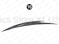 Rear Lwr Print Group