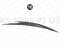 Rear Lwr Print Group