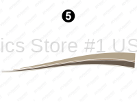 FW Rear Lwr Swoop